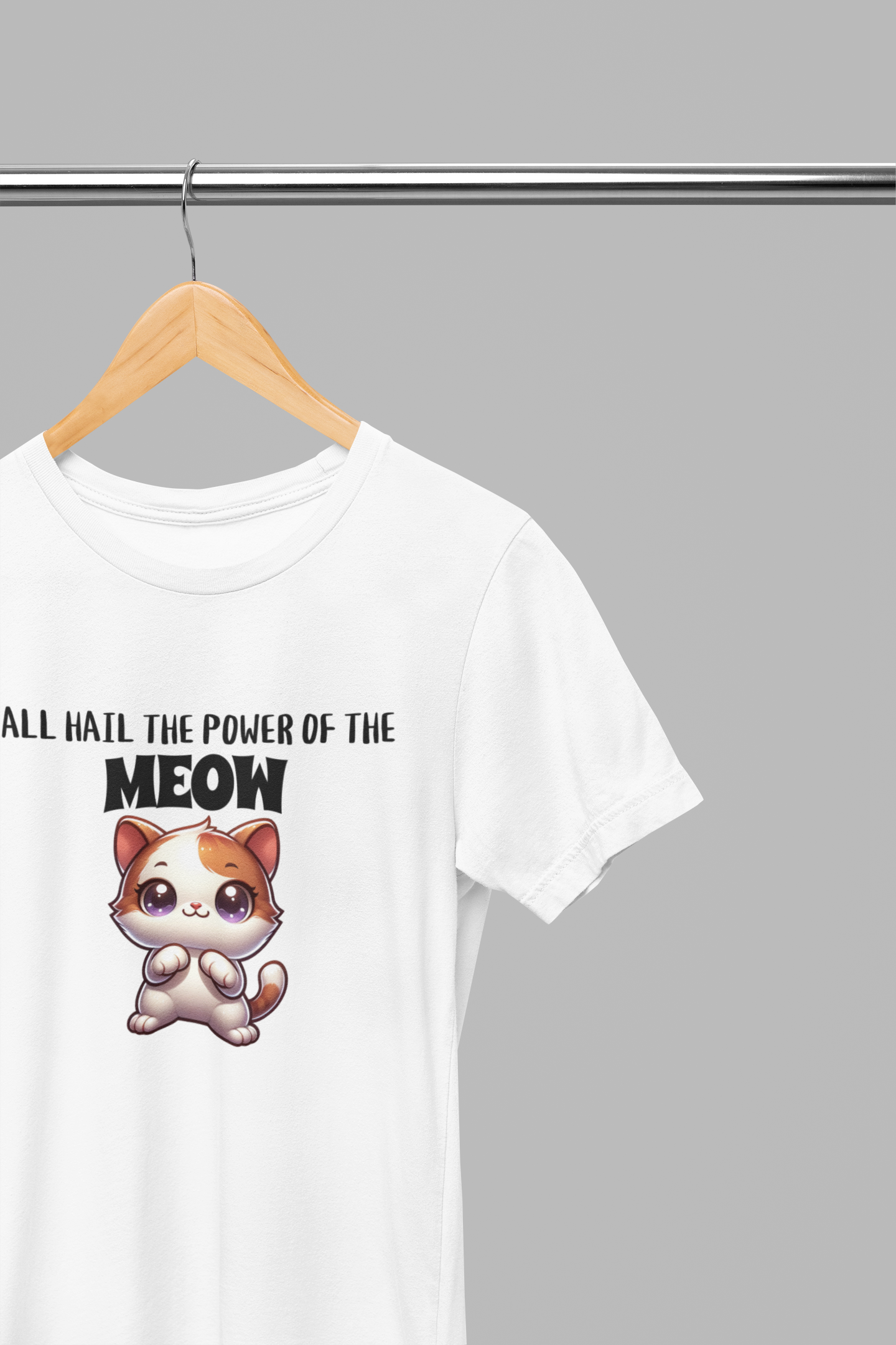 All Hail The Power Of The Meow cat t-shirt on a hanger against a gray background